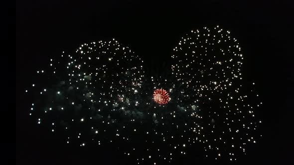 Beautiful Fireworks Show on Independence Day