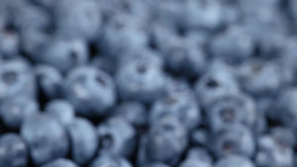 Fresh blueberry berries heap