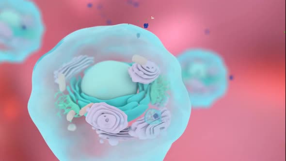 Microscopic image of cells, Cells, Medical video background