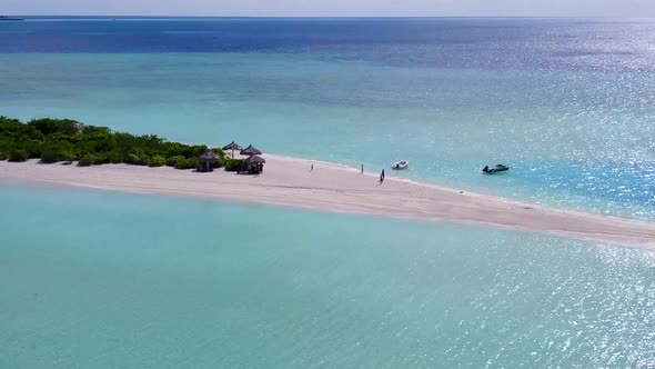 Aerial view panorama of coast beach wildlife by blue ocean with sand background