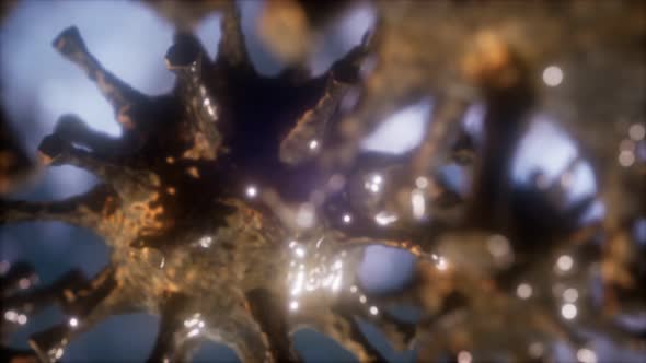 Coronavirus nCoV Respiratory Virus Concept alt