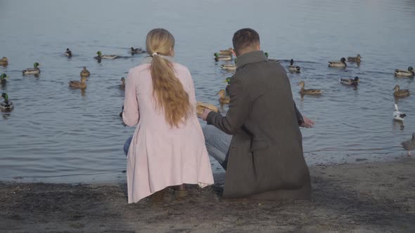 Adult Caucasian Man and Woman in Elegant Outfit Sitting on Riverbank and Throwing Bread for Ducks