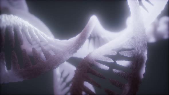 Loop Double Helical Structure of Dna Strand Closeup Animation alt