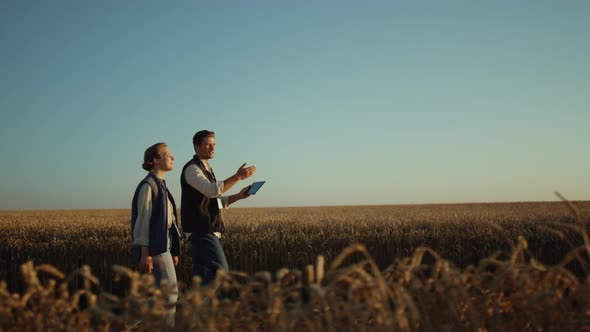 Two Farmers Inspecting Wheat Harvest in Golden Sunlight