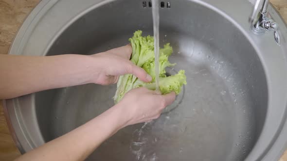 Womаn wash the lettuce.