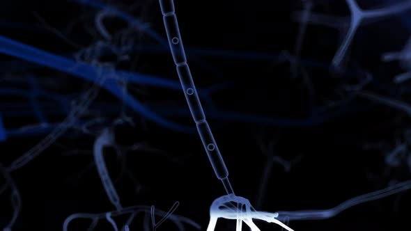 Drug addiction - Your Brain is a Pinball Machine11.mov alt