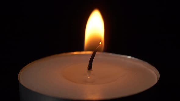 Macro Burning Small Round Candle Flame Isolated on Black Background,  Video