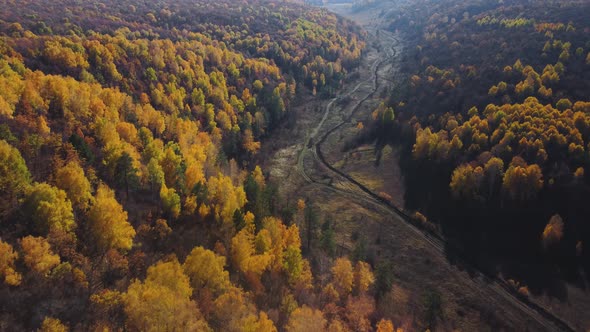 Aerial view of the Shiryaevsky ravine in the Samarskaya Luka national park.