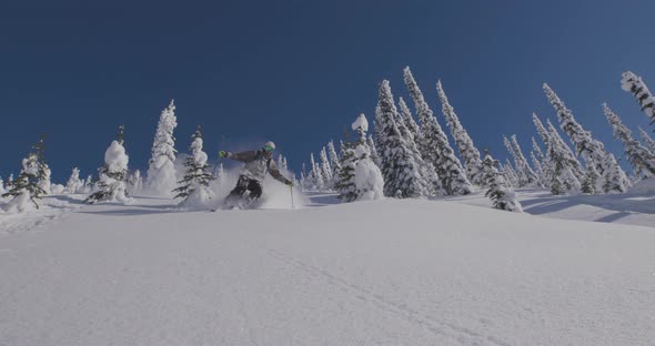 Downhill Skier- Amongst The Snow Covered Treetops