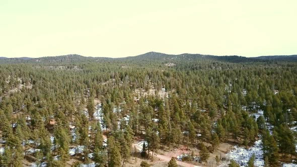 Aerial view of Pikes National Forest in the Winter.