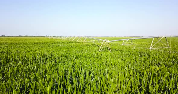 Water Irrigation Machinery on the Corn Field