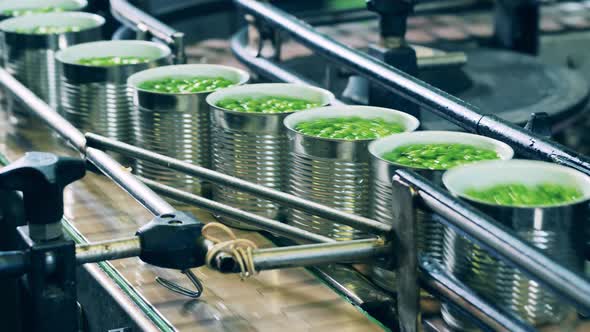 Conveyor Transportation of Unsealed Cans with Peas