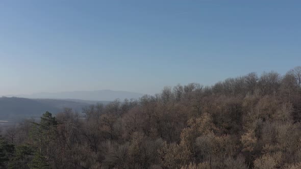 Above the forest by early morning 4K drone video