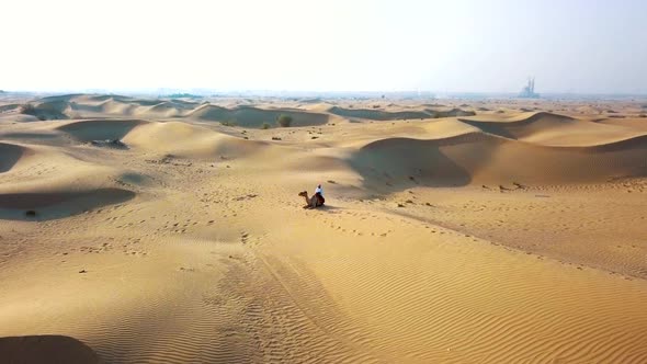 Aerial Survey Drone Flies Over the Desert, Bedouin with a Camel Resting