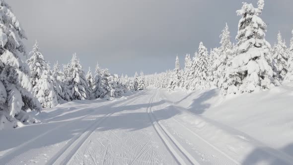 A Crosscountry Skiing Trail in a Snowcovered Winter Landscape with Trees