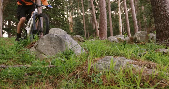 Male mountain biker riding in the forest