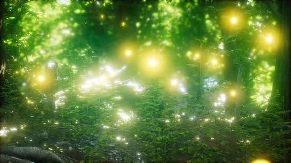 Firefly Flying in the Forest