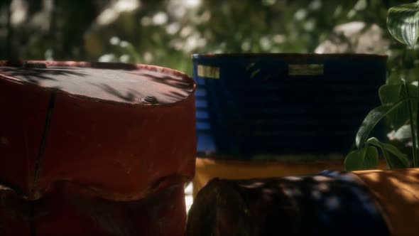 Rusty Barrels in Green Forest alt