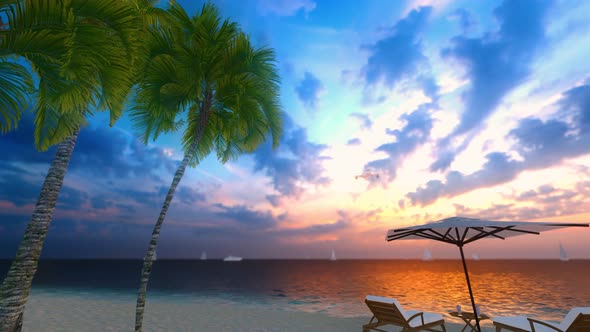 Airplane Flying Over Tropical Palm Tree And Sunset Sky