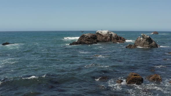 Birds sitting on Arched Rock on the ocean with waves crashing near the Beach Bodega Bay Highway 1 in