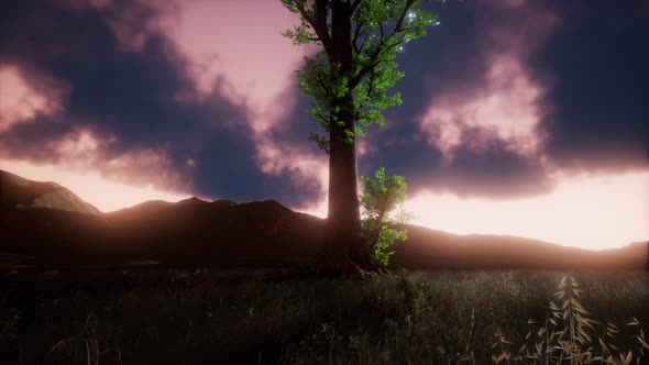 Aerial Green Hills Landscape in Fog alt