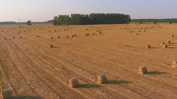 Landscape of Straw Bales Against Setting Sun on Background