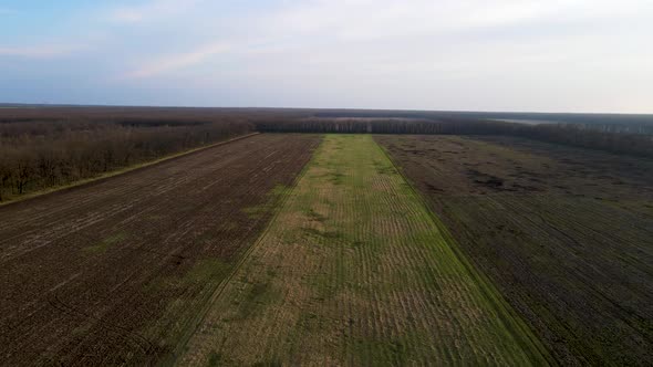 Drone flies over a field in the forest