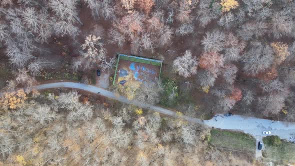 Autumn Forest Aerial Drone View - Basketball