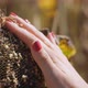 Women Farmer Hand Check Ripe Seeds From Sunflowers Head. Analyzing Helianthus Agriculture Harvest in - VideoHive Item for Sale