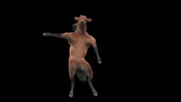 31 Horse Dancing HD