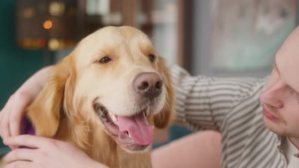 Positive Man Combing and Stroking His Golden Retriever Dog at Home Happy Student Live with His Pet