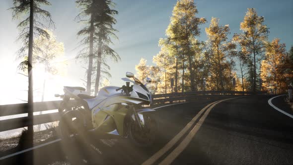 Sportbike on Tre Road in Forest with Sun Beams