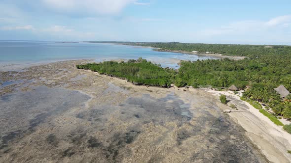 Low Tide in the Ocean Near the Coast of Zanzibar Island Tanzania