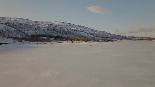 Tracking a sea eagle flying over frozen lake; Skogsfjordvatnet; aerial slowmo