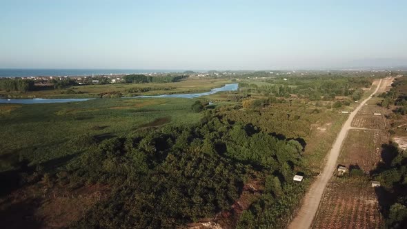 hazelnut garden and river