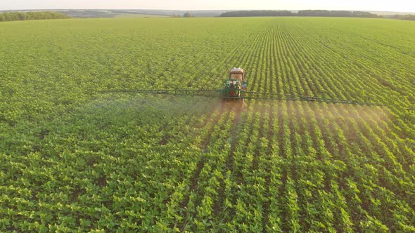 Aerial View of Farming Tractor Spraying on Field with Sprayer Herbicides and Pesticides at Sunset