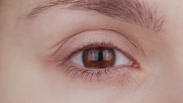 Closeup of female brown eye. Woman is looking at the camera close-up.