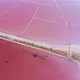 Wonderful Flight Over a Pink Salty Lake at Sunset in the Evening - VideoHive Item for Sale