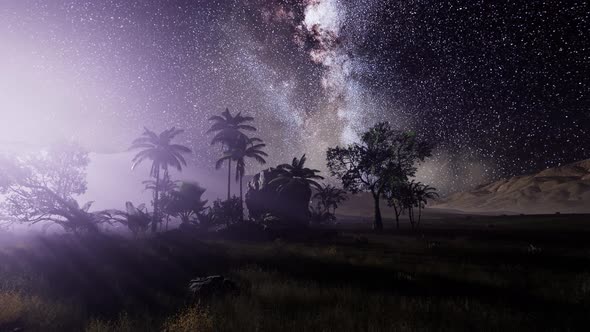 Milky Way Galaxy Over Tropical Rainforest