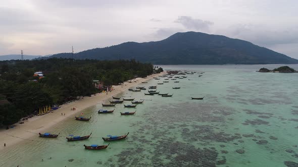 Fly on the beach