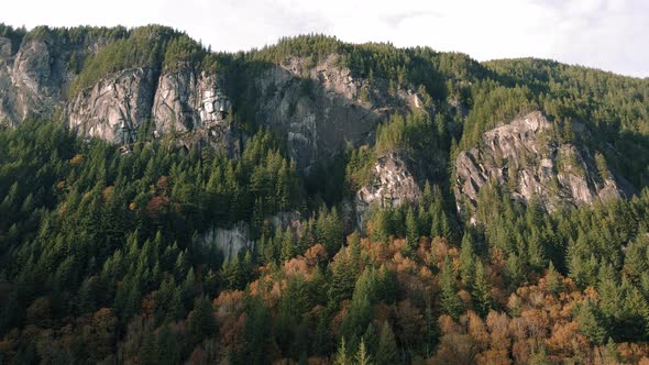 Nature Texture Background Drone Video Of Rock Cliffs In Mountain Forest