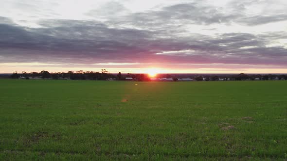 A drone shot over a grassy field at sunset.