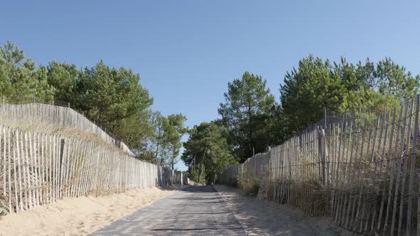 Walkway leading to sea  beach with pines and sand slow tilt 3840X2160 UltraHD footage - Wooden plank