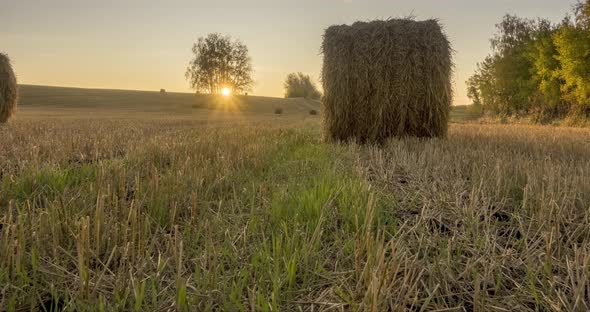 Flat Hill Meadow Timelapse at the Summer Sunset Time