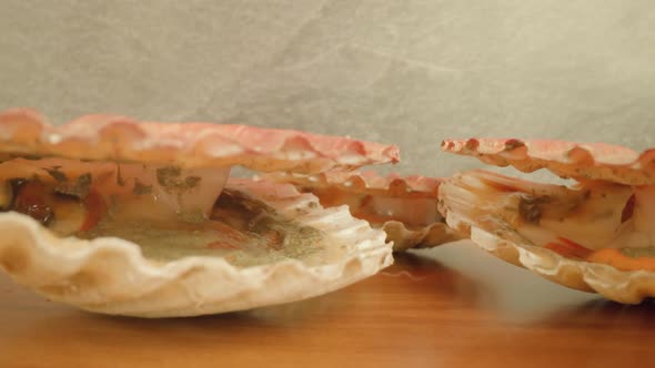 Live Bivalve Mollusks Open Shells Lying in Light Studio