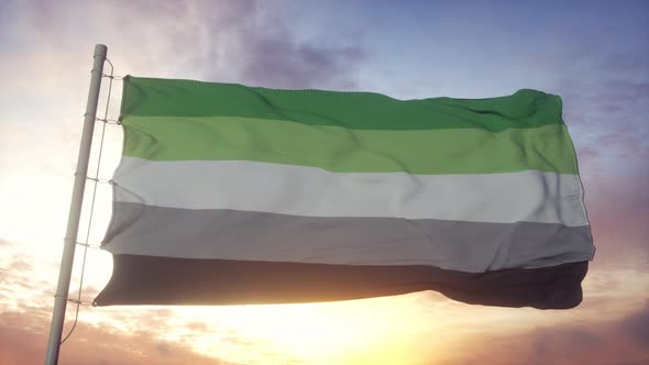 Aromantic Pride Flag Waving in the Wind Sky and Sun Background