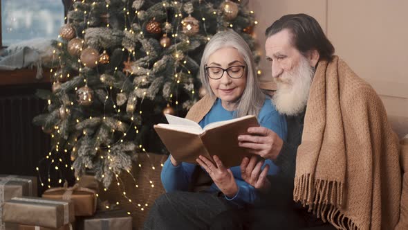 Senior Couple Spending Happy Time at Home Reading a Book Together with a Decorated Christmas Tree