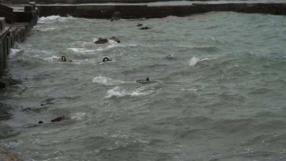 Sea Wave on a Cloudy Rainy Day