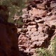 Grand Canyon Cliff Tilt Up - VideoHive Item for Sale