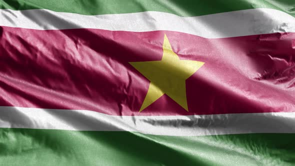 Suriname textile flag waving on the wind. Slow motion. 20 seconds loop.